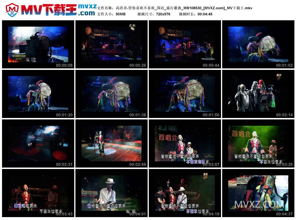 高洪章-管你喜欢不喜欢_国语_流行歌曲_MB108530